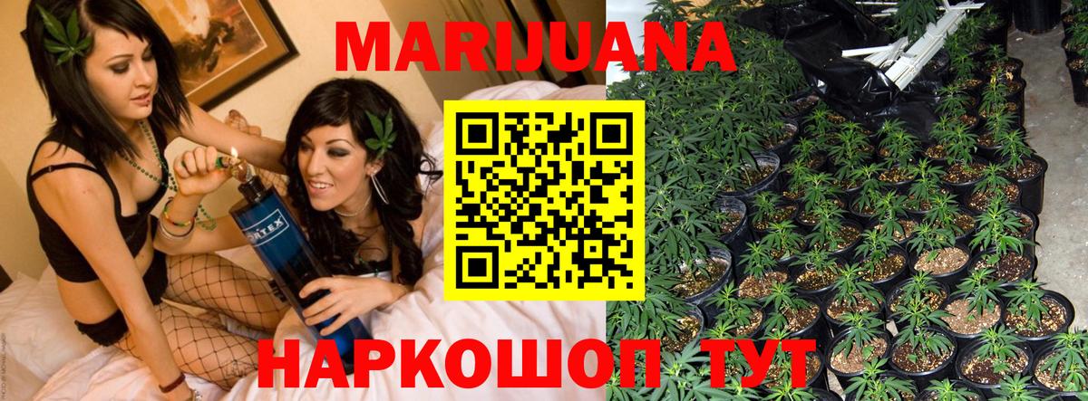 Шишки марихуана план  МАРИХУАНА индика  Ленинск-Кузнецкий  Вход с VPN  МАРИХУАНА марихуана 